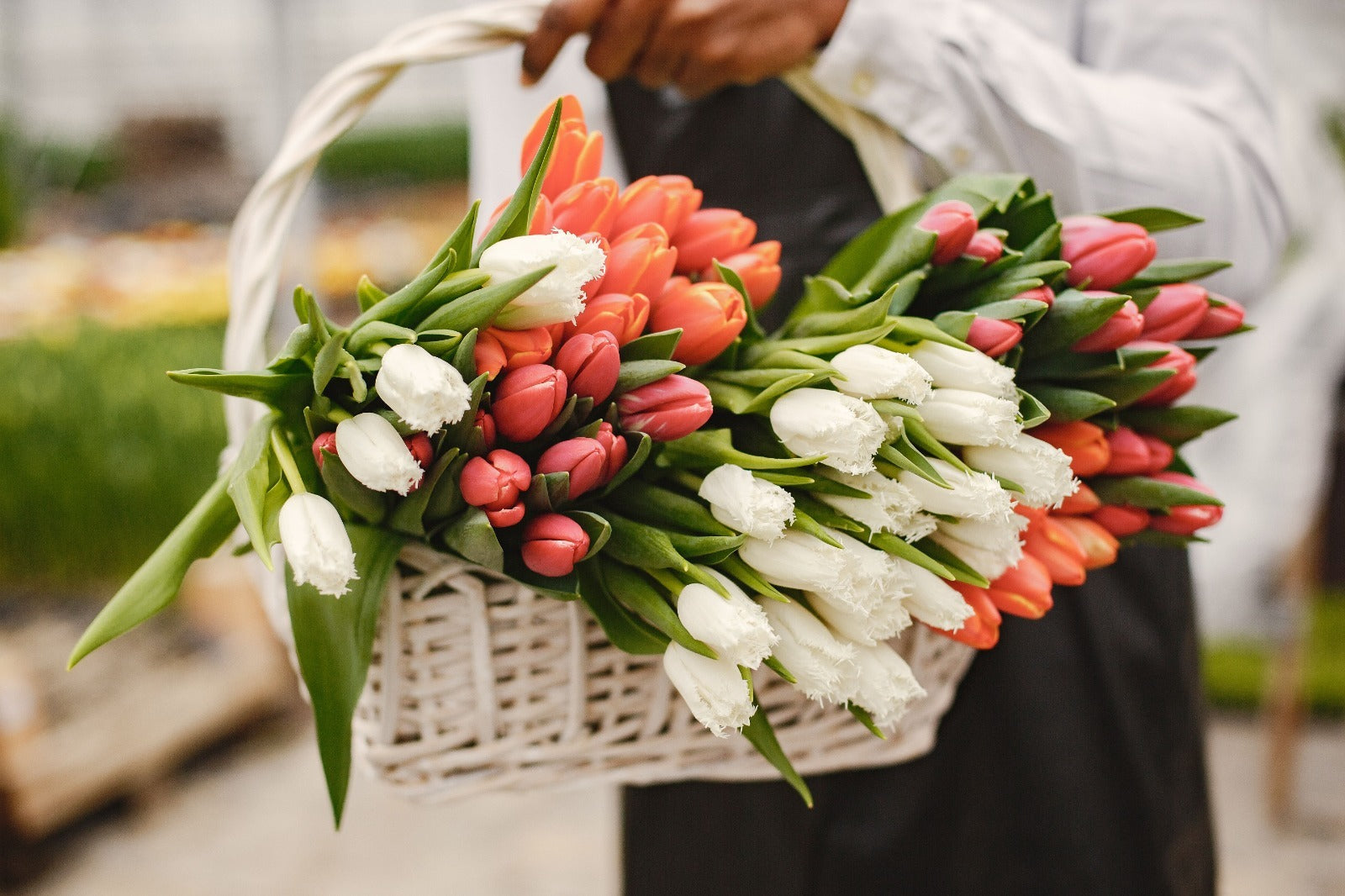 Best Flowers for Friendship: Bouquet Ideas for Friends in Dubai