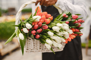 Best Flowers for Friendship: Bouquet Ideas for Friends in Dubai